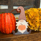 Pumpkin Gnome Table Topper