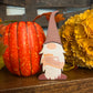 Pumpkin Pie Gnome Table Topper